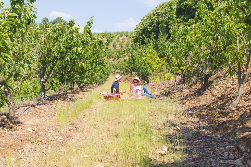 Quinta Da Barroca Douro Valley 아마마 외부 사진